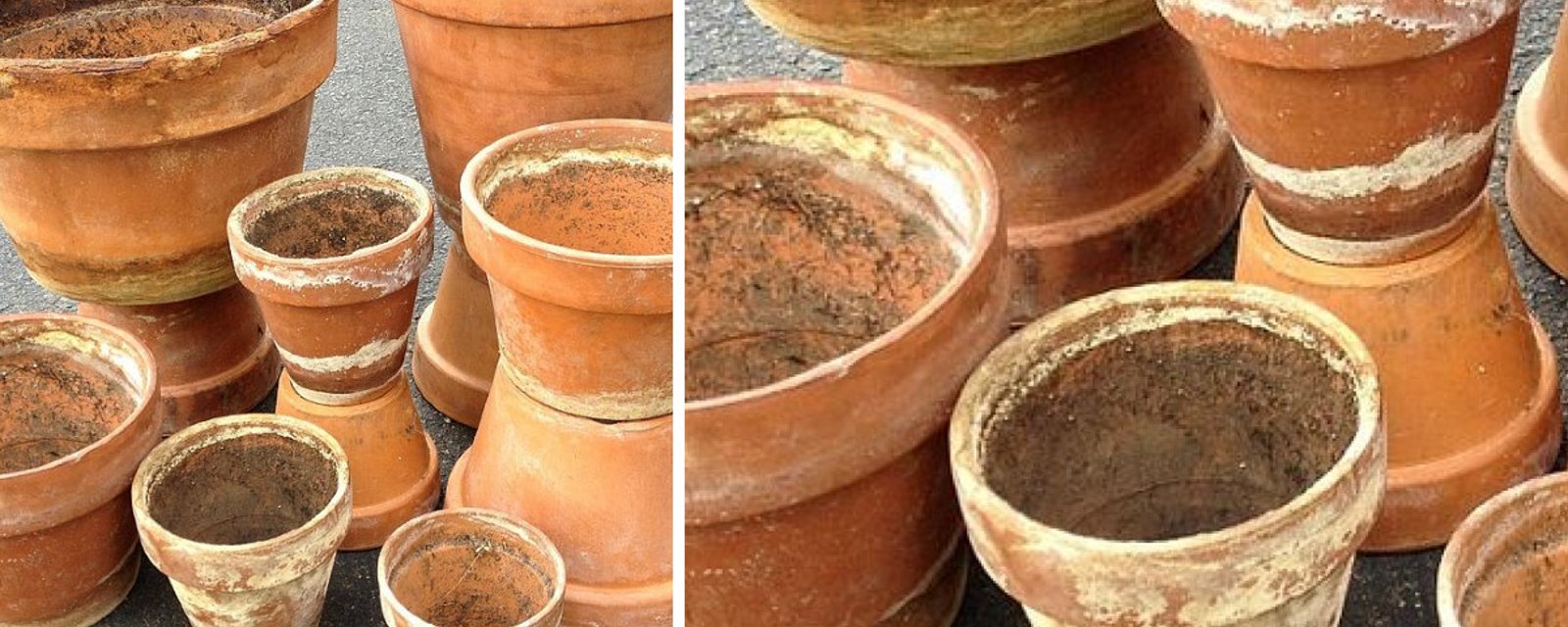 Comment laver les pots en Terra Cotta! La terre cuite absorbe tout! Et cette formule élimine toutes les taches! 