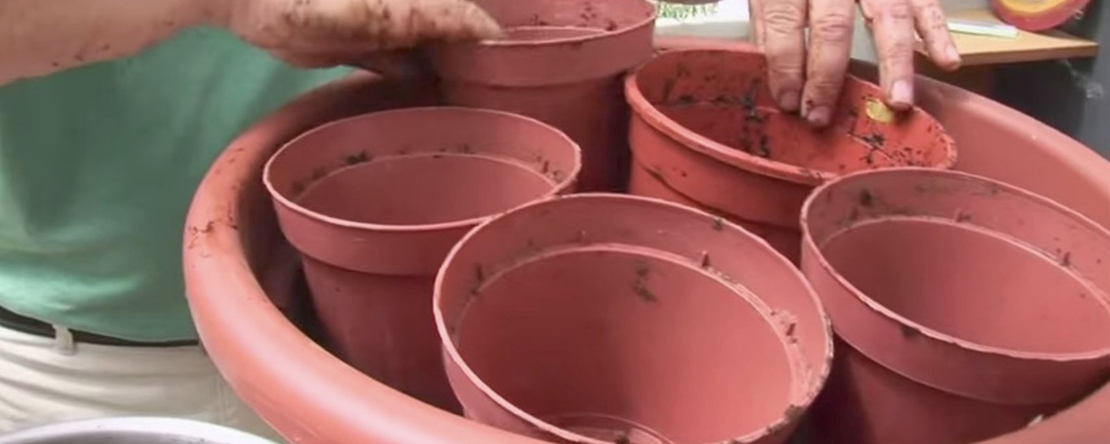 Il dépose 5 petits pots dans un très gros pots à fleurs! Un pro du jardinage nous révèle une astuce qui fait toute la différence! 