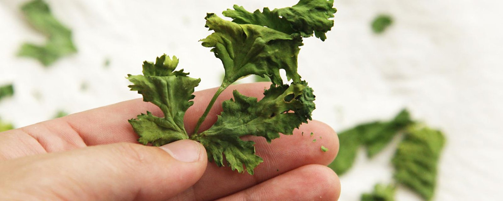 Ne jetez pas les restants d'herbes fraiches que vous avez en trop! Cette simple astuce vous servira pendant des mois! 