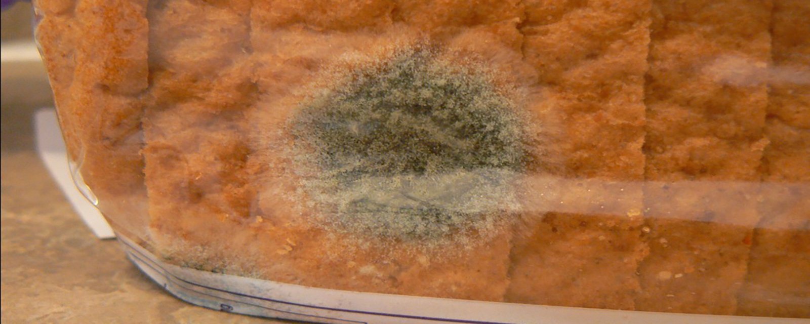 Une seule tranche de pain présente des traces de moisissure, est-ce que les autres tranches peuvent être consommées?