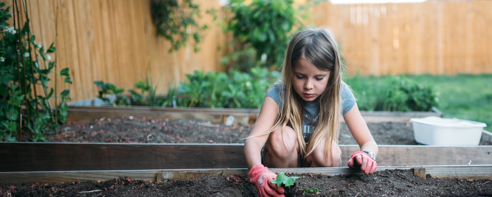 Comment jardiner efficacement et en toute simplicité, même en ville