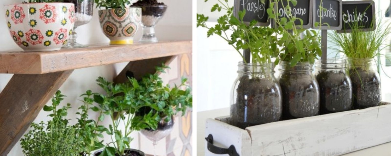 17 façons créatives de réaliser un potager d'herbes aromatiques intérieur