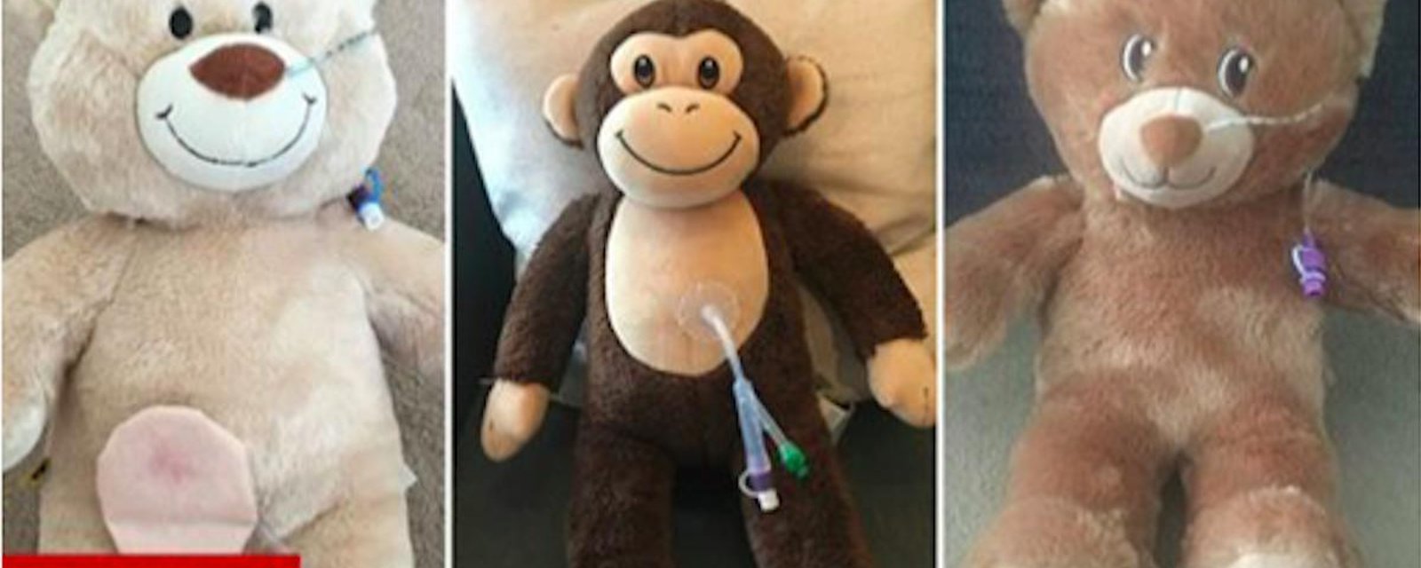 Des animaux en peluche intubés aident les enfants malades à comprendre leurs maladies