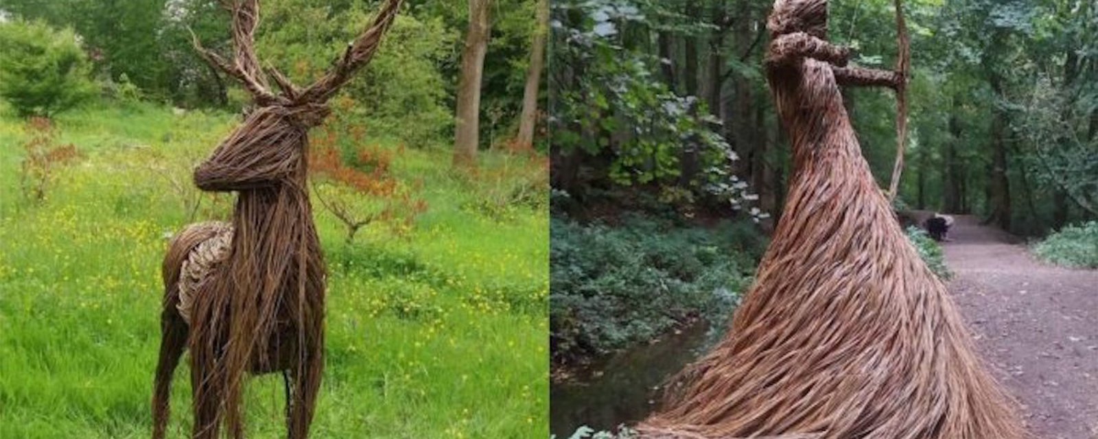 Cette artiste réalise des oeuvres en tressant des branches de saule