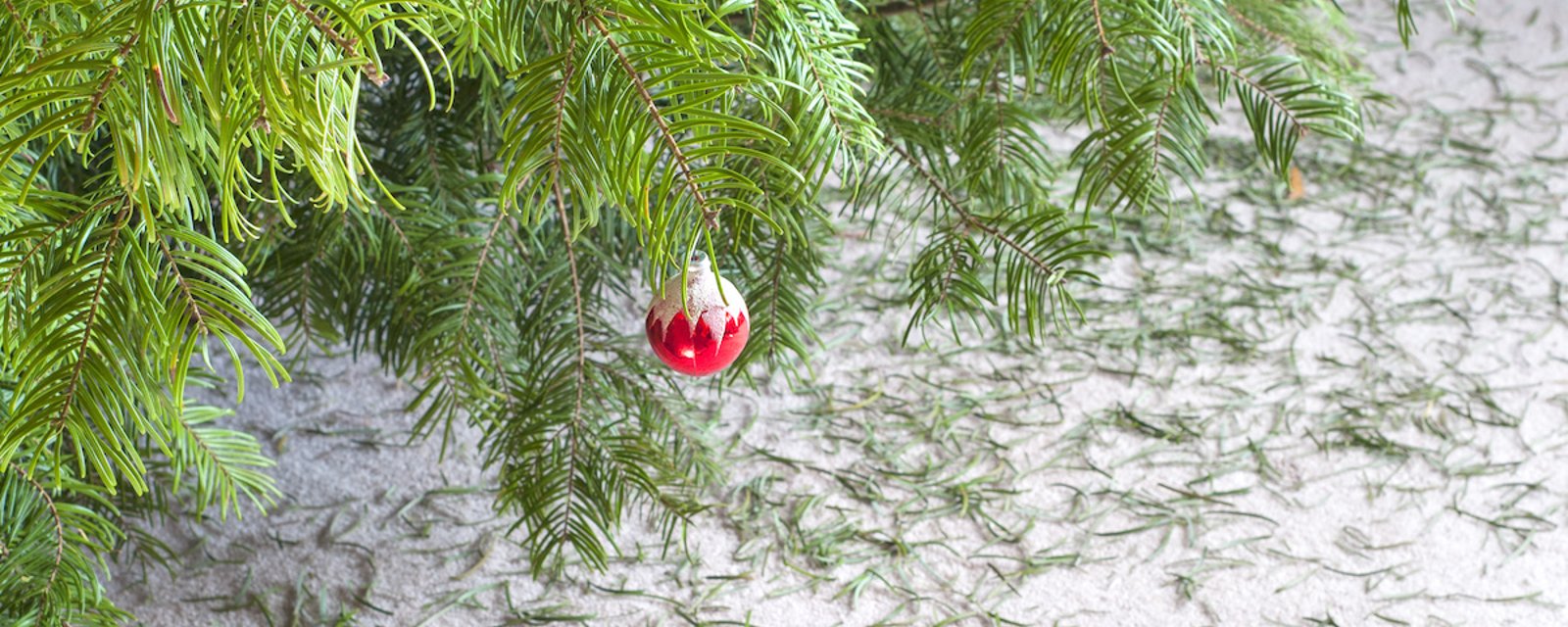 Selon une tradition ancienne, vous ne devriez pas défaire votre sapin de Noël avant une date précise