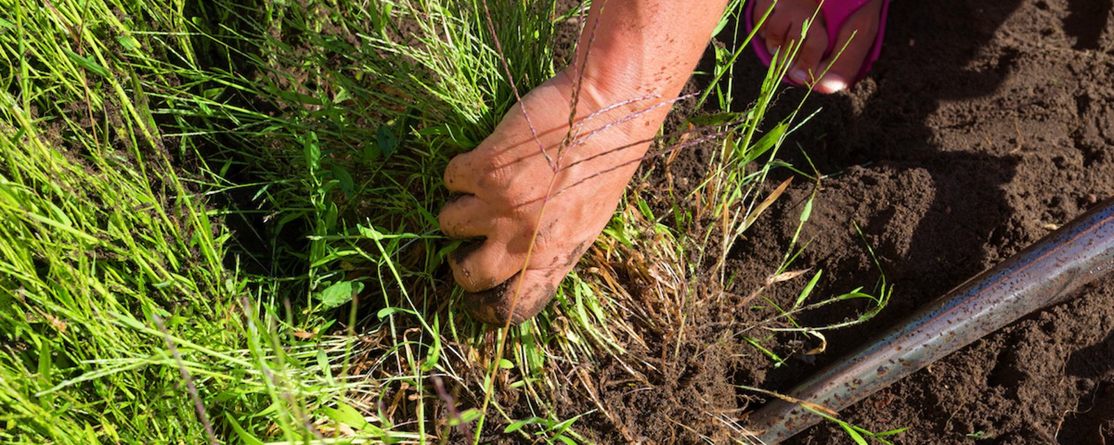 8 désherbants naturels  pour le jardin à préparer soi-même