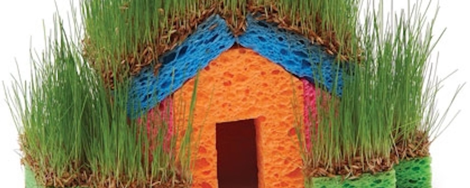 Un super projet printanier à réaliser avec les enfants: une maison en herbe fraiche