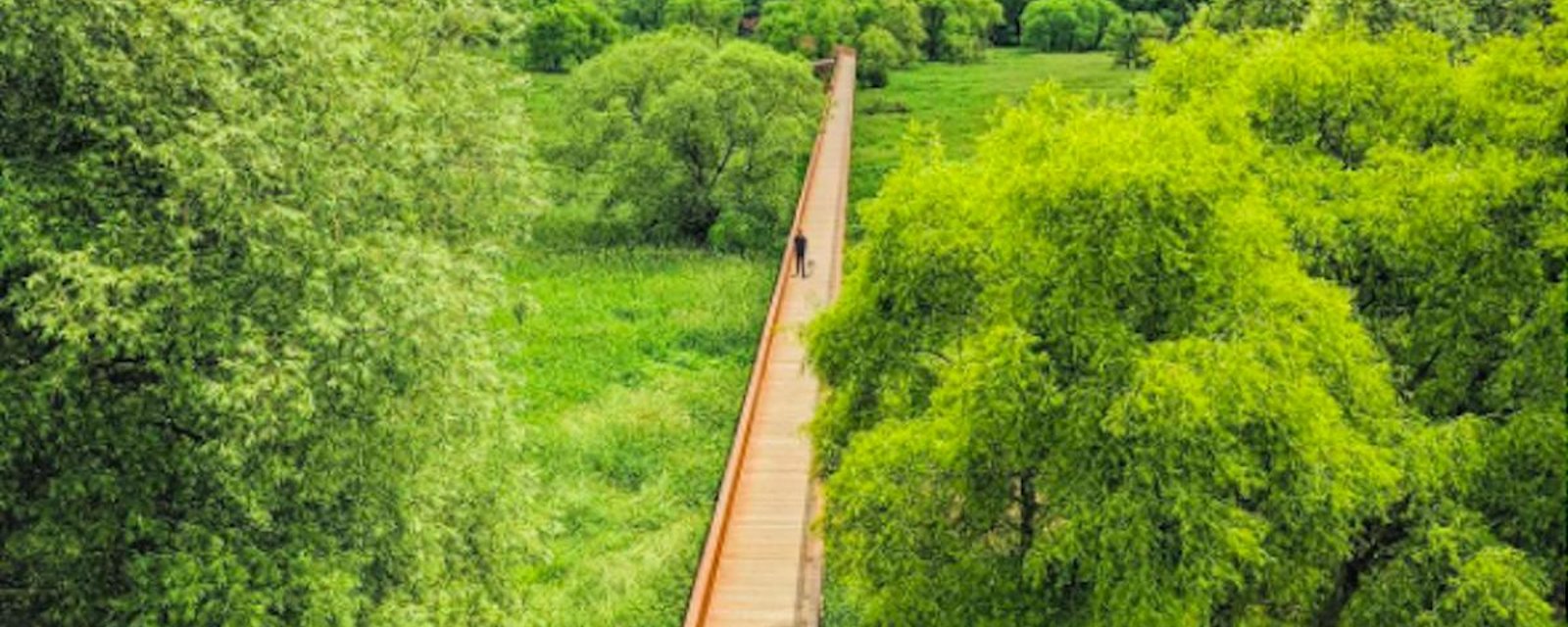 Suggestion d’escapade nature: la longue passerelle au coeur du  Parc écomaritime de l'Anse-du-Port