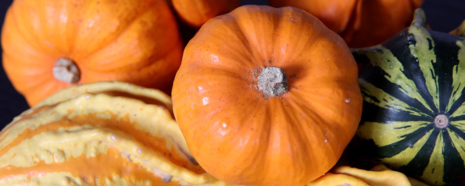 Appel à la prudence en ce mois de l'Halloween: certaines courges sont dangereuses