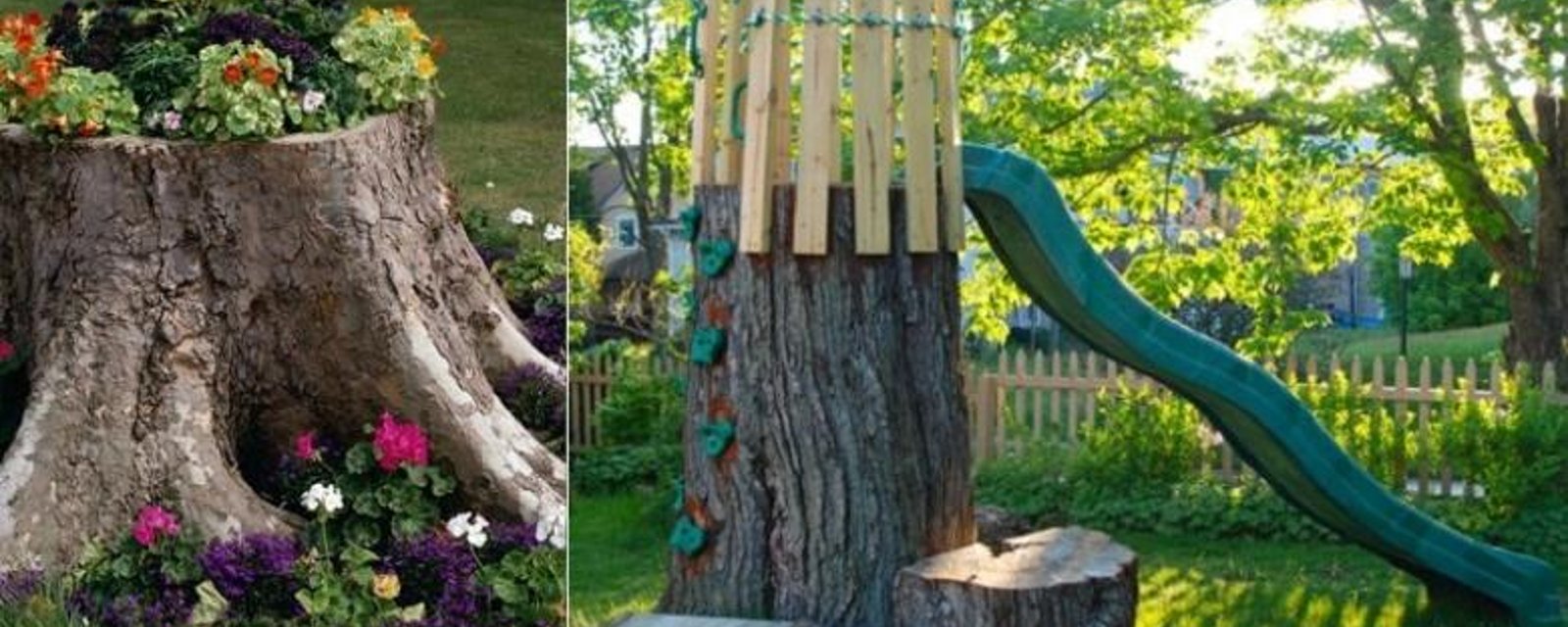 12 idées pour transformer une souche d'arbre sans la déterrer!