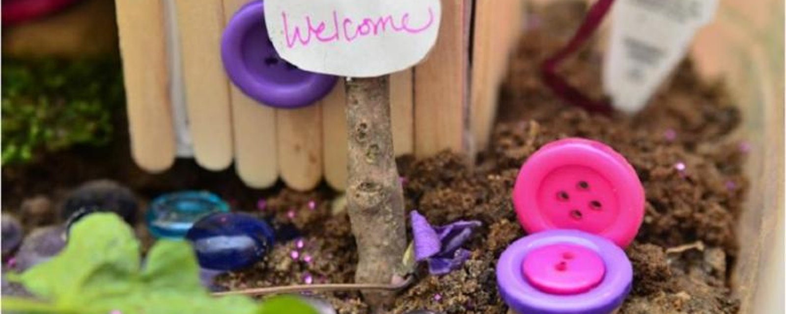 UN JARDIN DE FÉE POUR LES PETITS! 