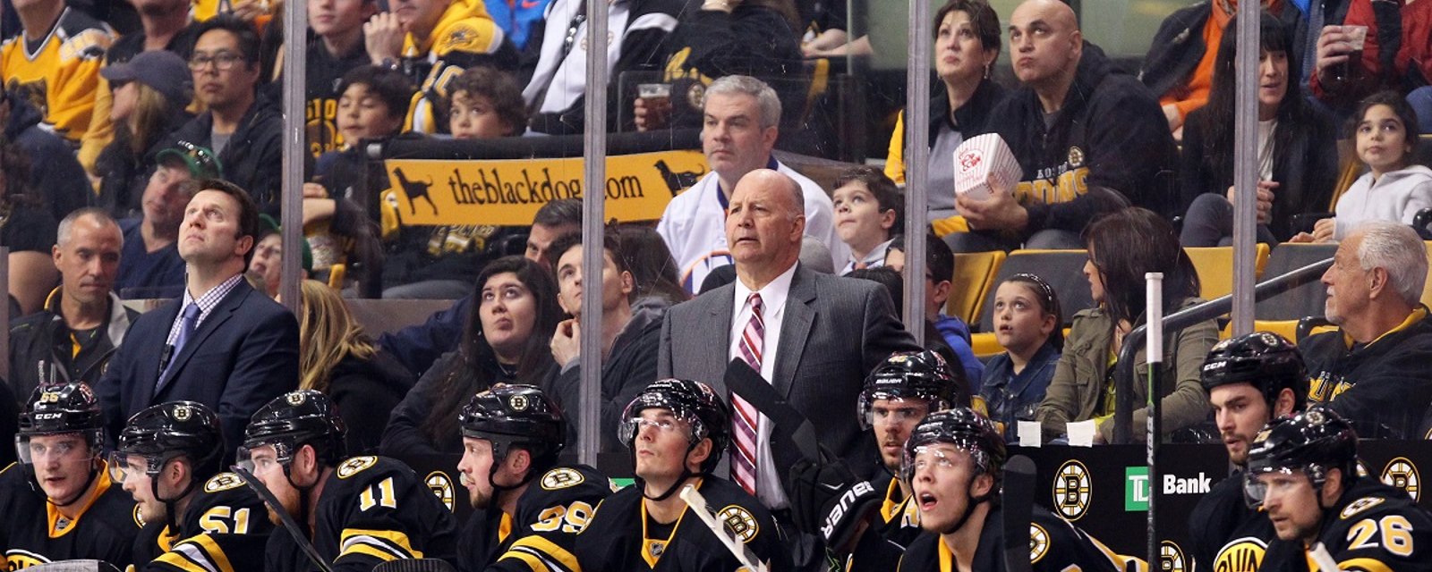 Un nouveau chez les Bruins!