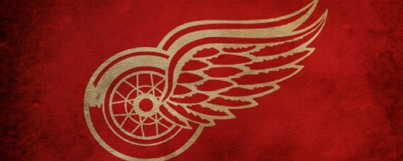 2 joueurs des Wings photobomb une fillette de 4 ans et enflamment le web.