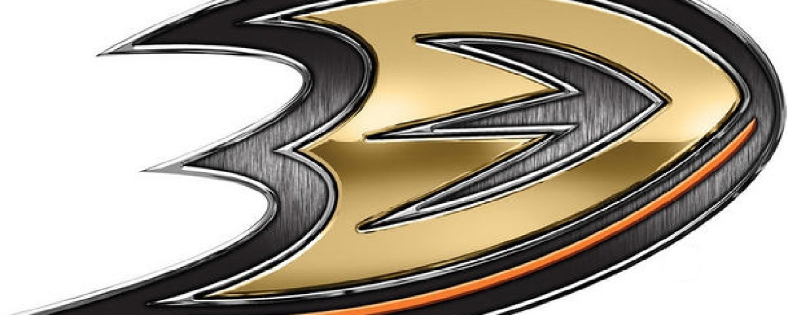 Les Ducks aux prises avec un plus gros problème que le Canadien!