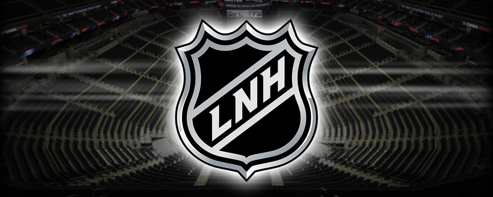 Un joueur de la LNH se dit prêt à défier Gary Bettman!