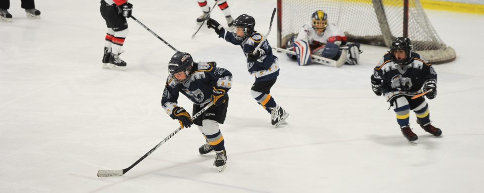 Hockey Québec accepte de rouvrir le dossier des Bastions Novice C!