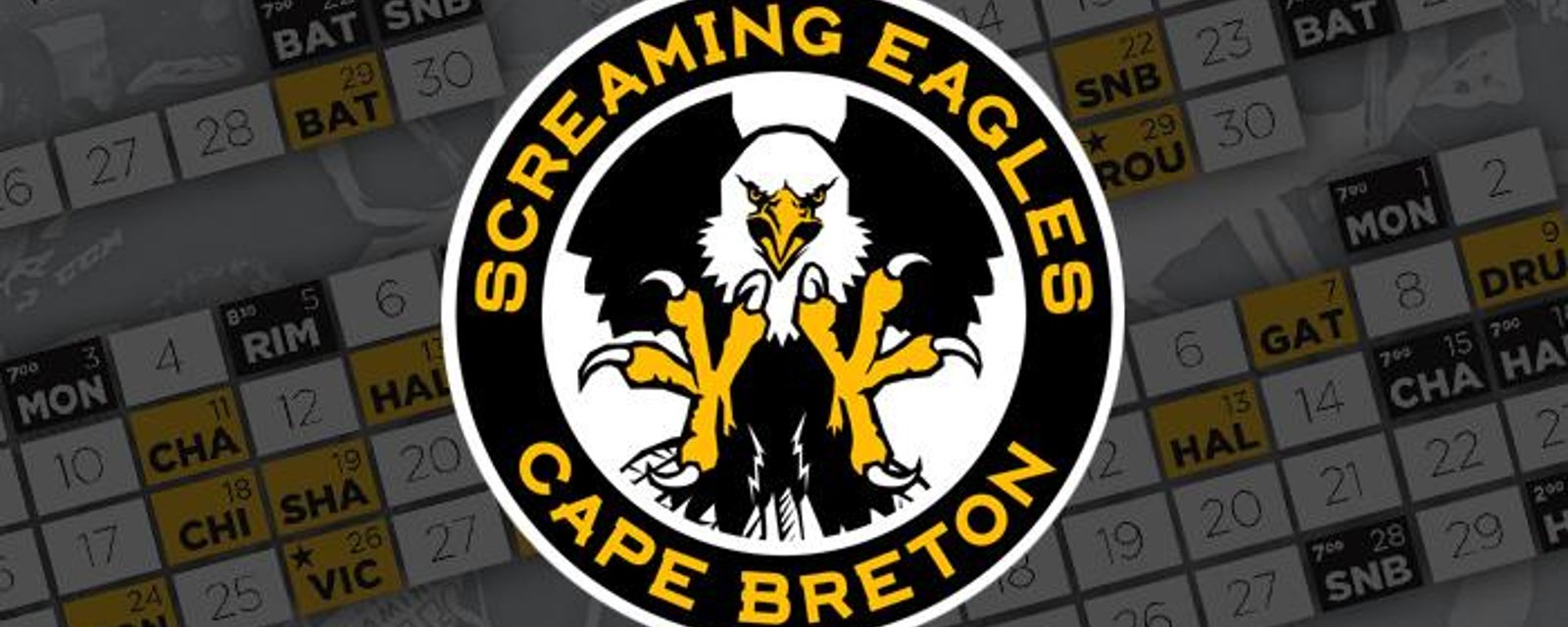 LHJMQ: Les Screaming Eagles du Cap-Breton changent de nom et de logo!