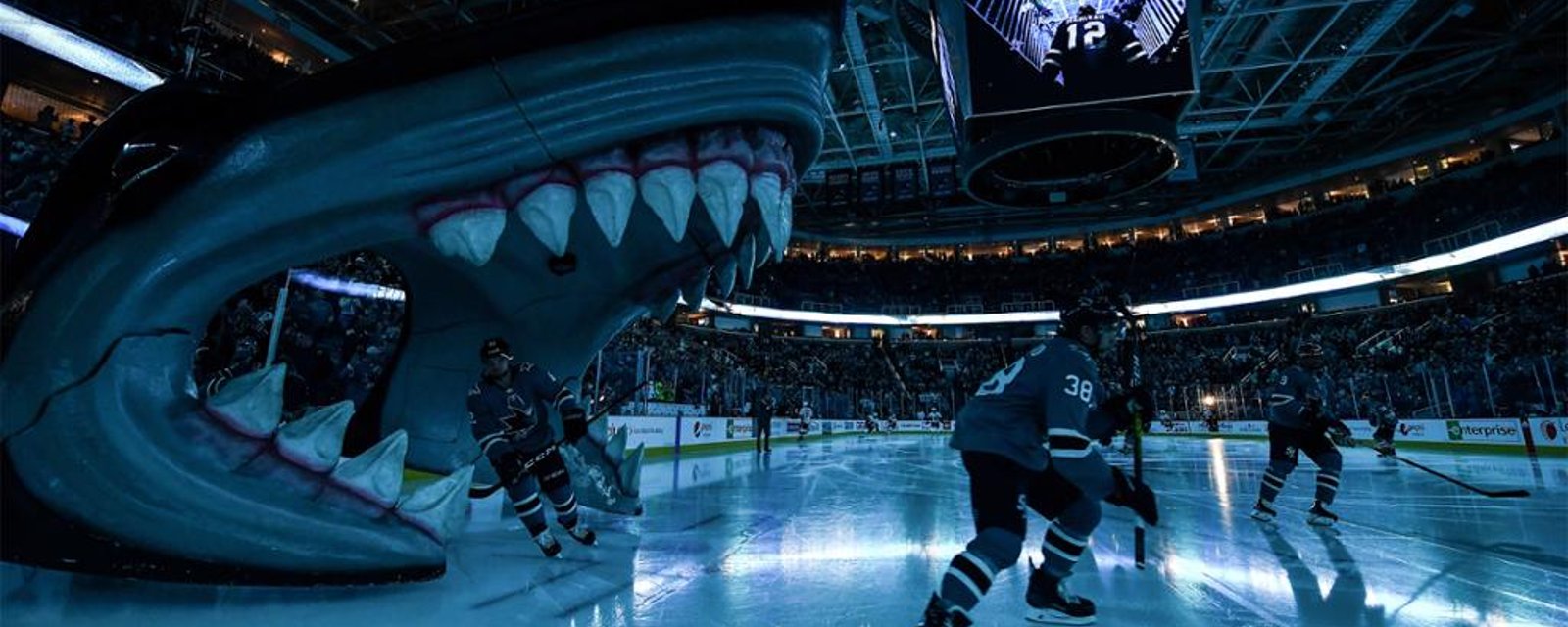 Les Sharks durement frappés par la COVID-19