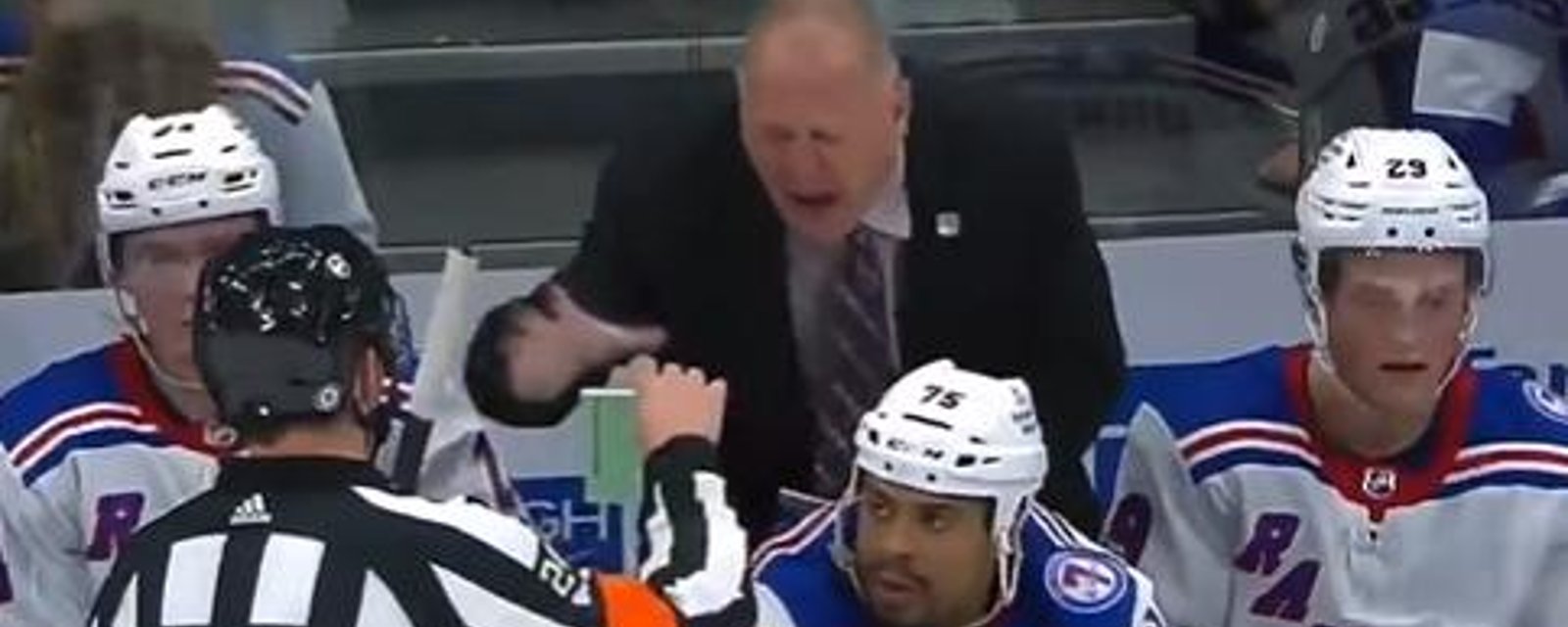 VIDÉO | Gerard Gallant pette sa coche contre les arbitres et frappe Ryan Reaves au passage! 