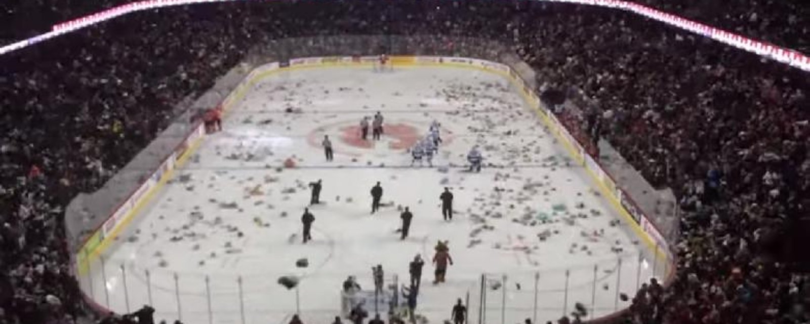 28 000 toutous lancés sur la glace!