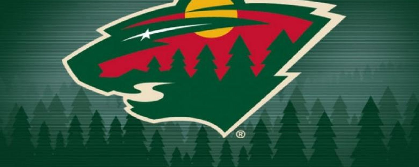 Le Wild dévoile leur nouveau chandail!