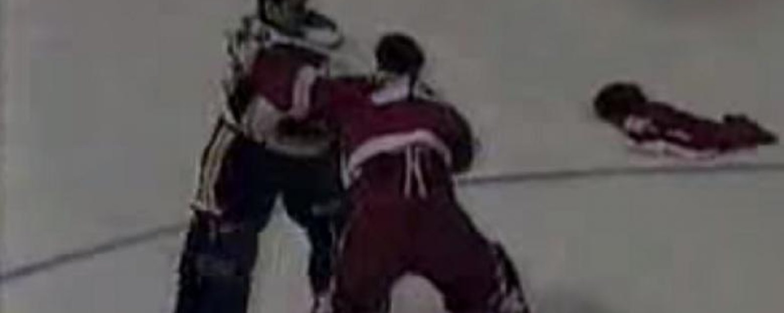 Insane brawl between the Blues and the Red Wings! (VIDEO)