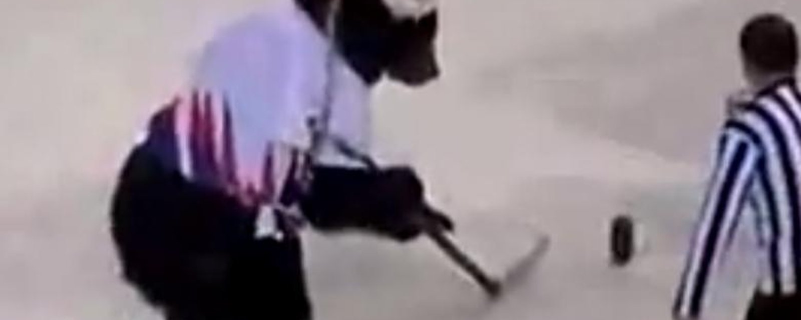 VIDEO: Bears can play hockey!