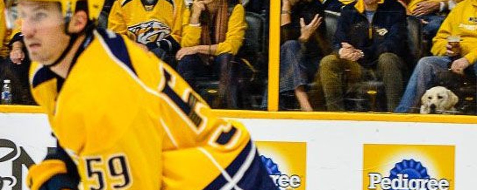 Veteran and his service dog enjoy watching the Preds win