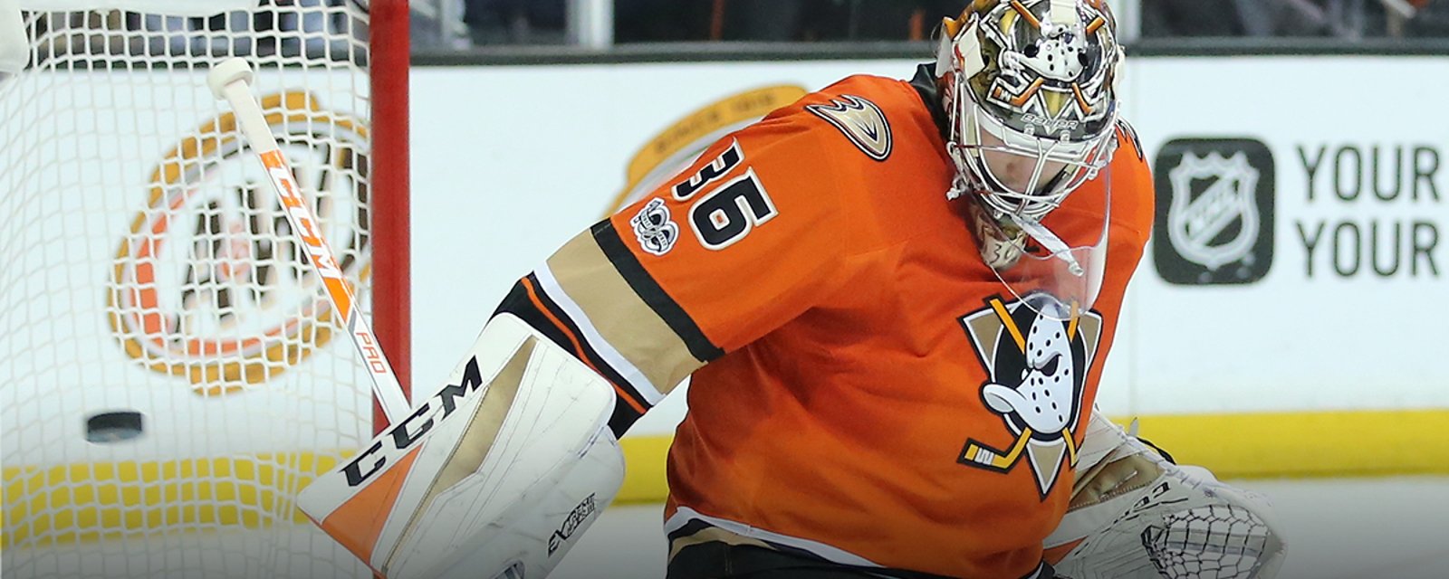 Injury report: Carlyle provides update on Gibson's injury