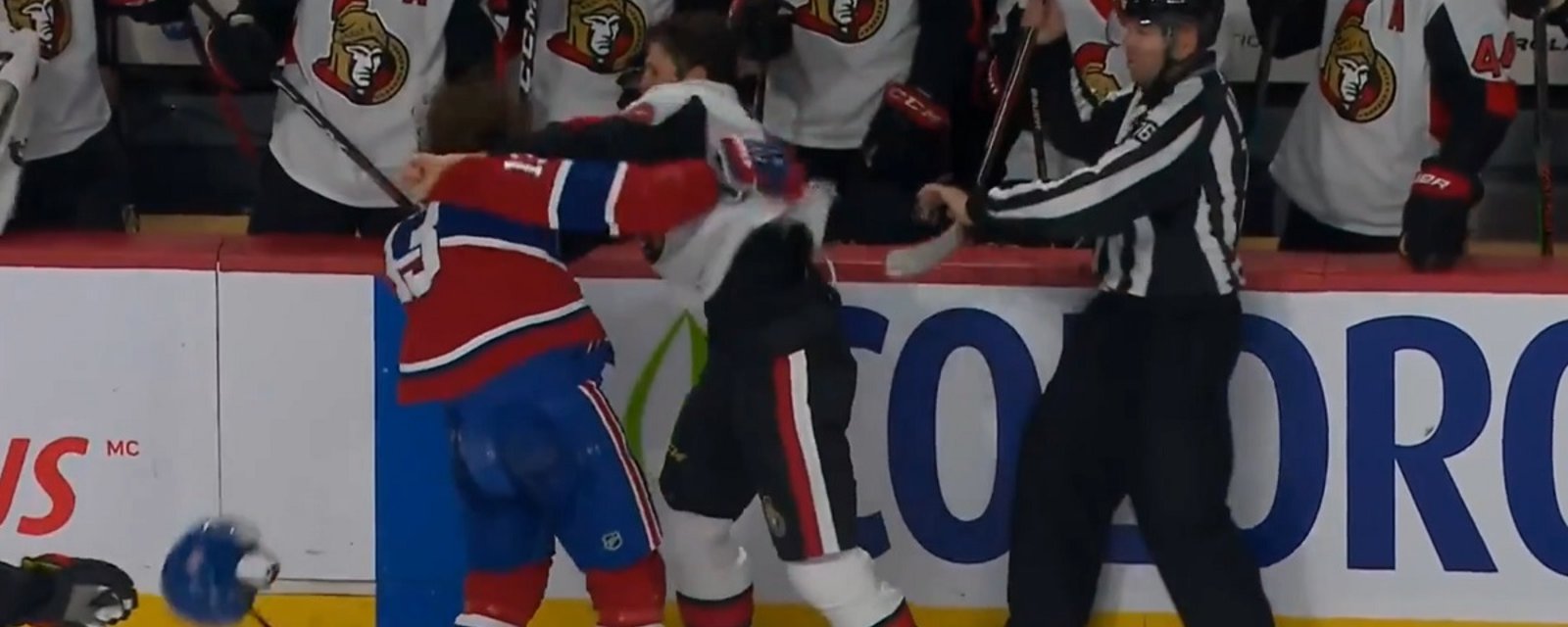 Scott Sabourin continues to make his mark, pummels Max Domi in preseason scrap.