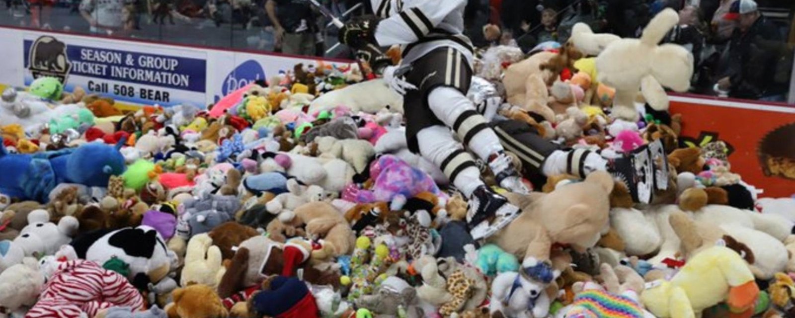 Teddy Bear Toss sets new world record on Sunday night!