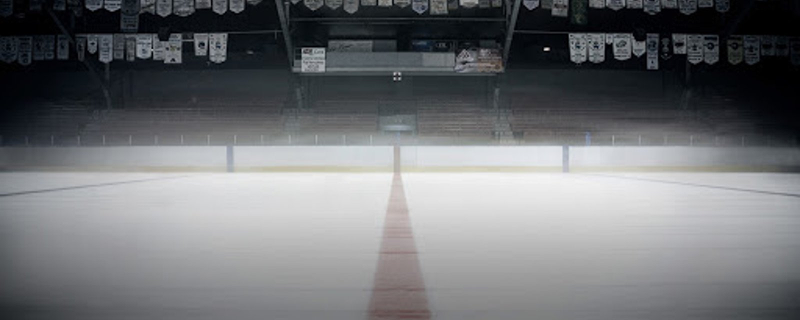 Report: NHL season paused for longer than first projected!