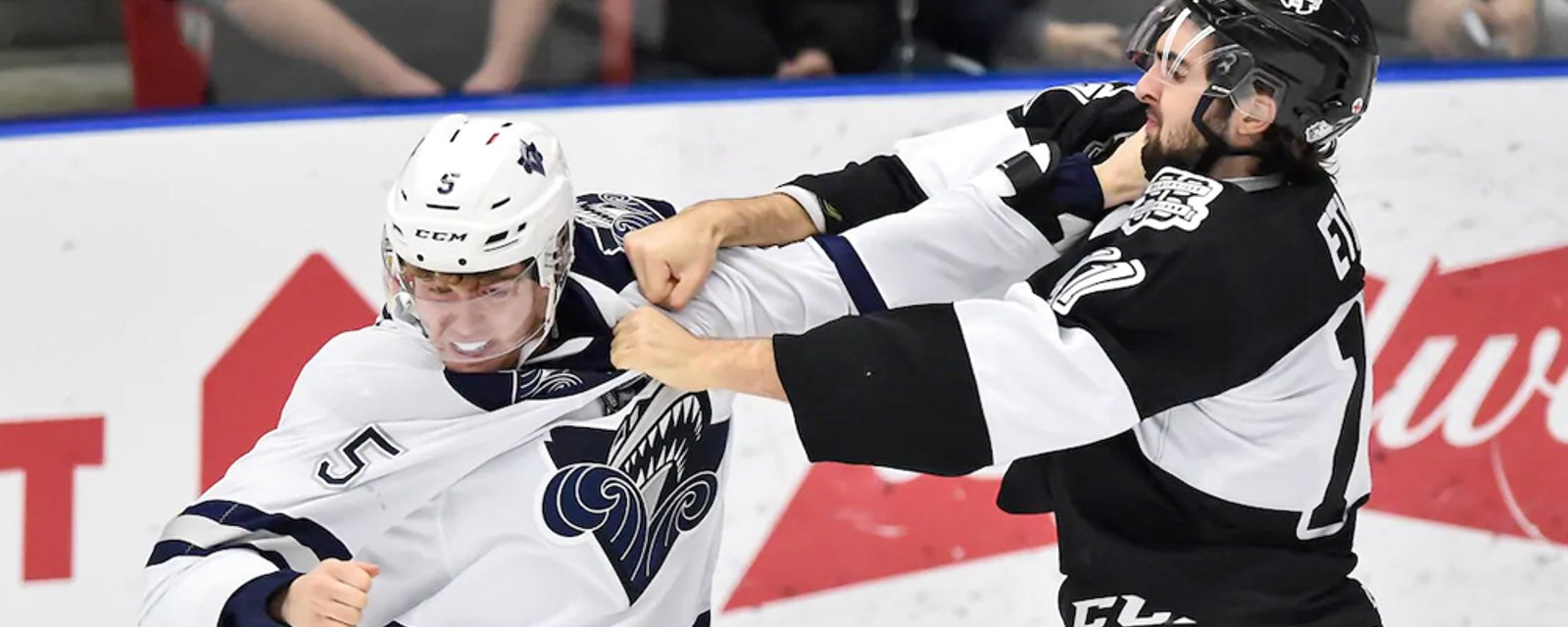 QMJHL set to eliminate fighting from the sport