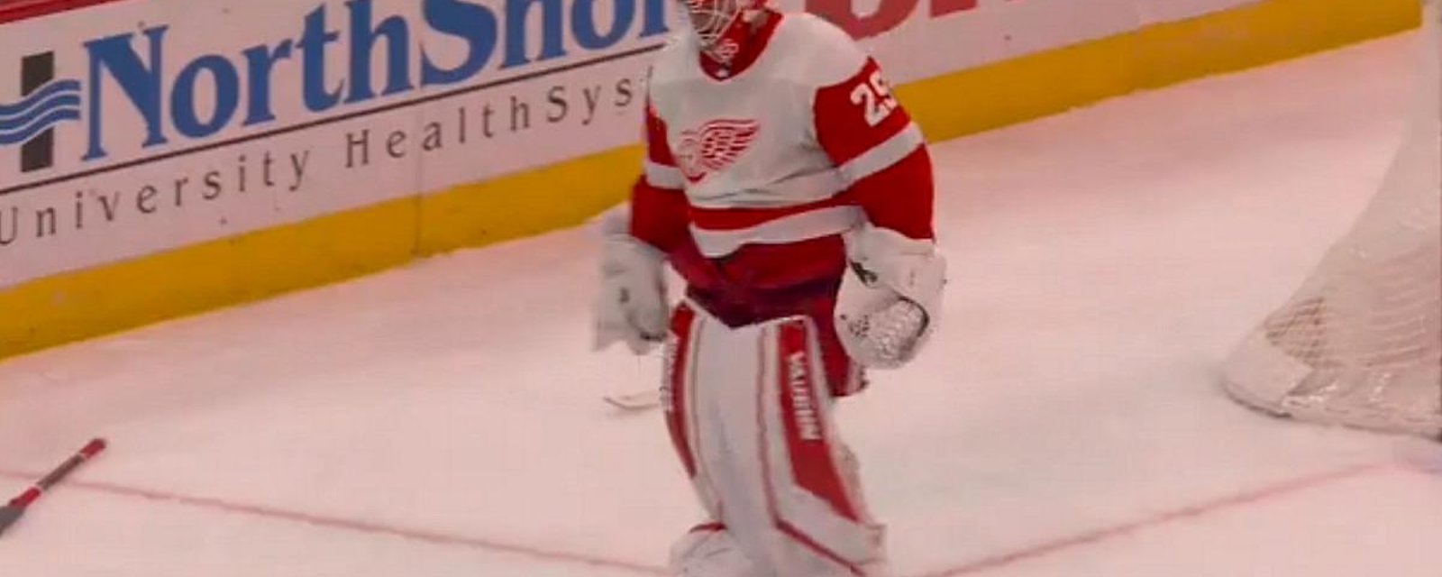 Thomas Greiss finally snaps after another ugly loss for the Red Wings.