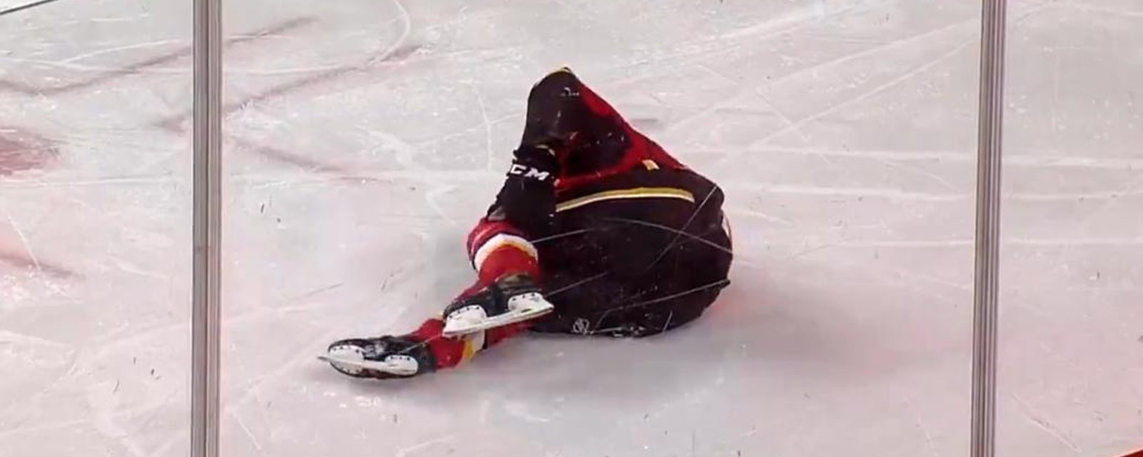 Pospisil in agony after taking one of the most awful looking hits of the year.