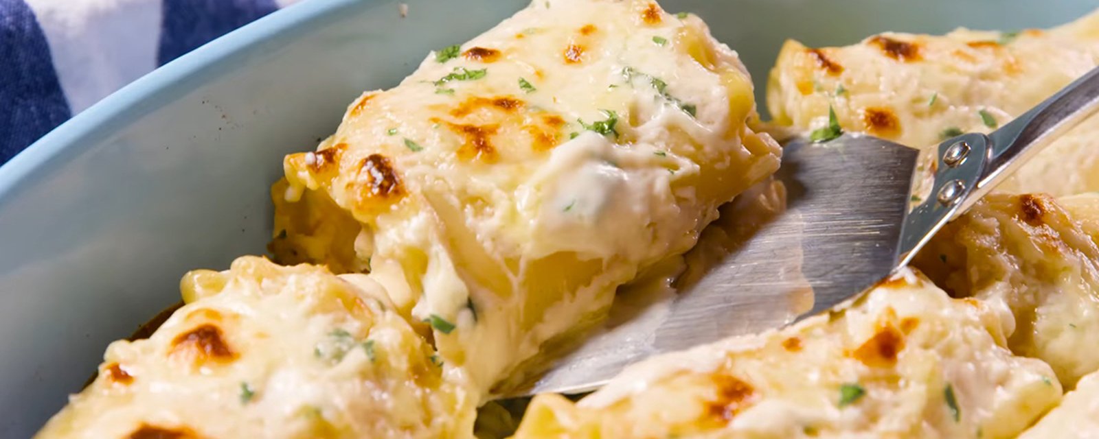 Envie de cuisiner la lasagne différemment? Ces rouleaux de lasagne au poulet Alfredo sont inégalables!