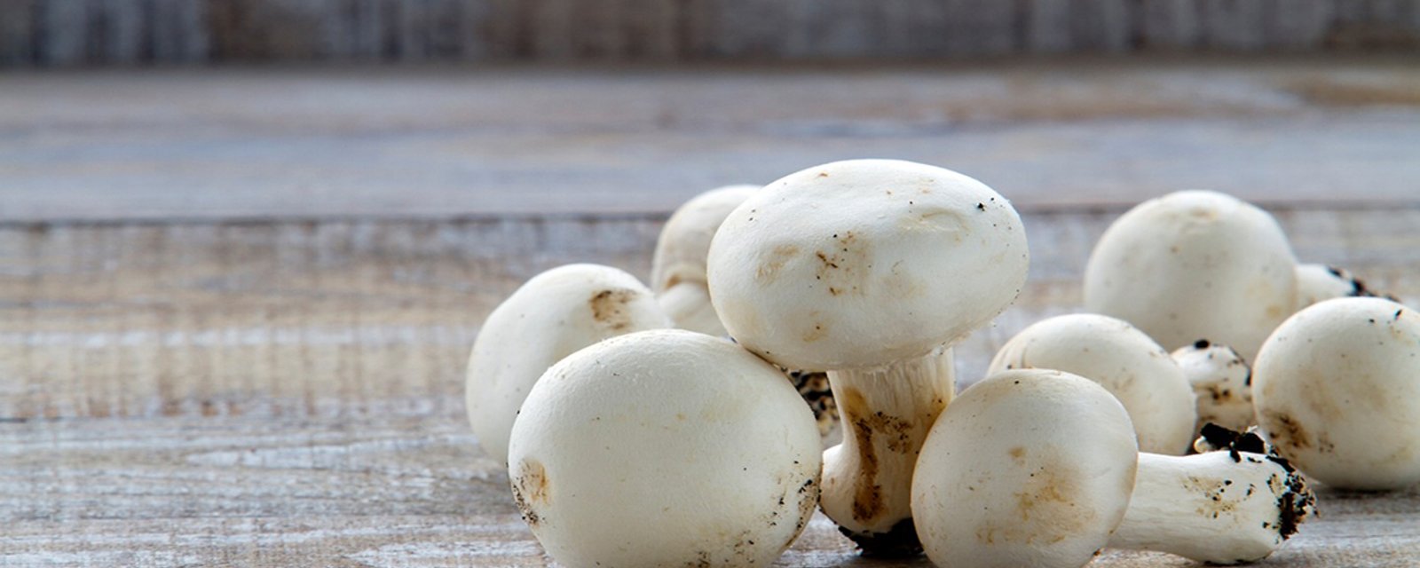 Pour prolonger la durée de vie des champignons, vous devez les transférer dans un sac en papier brun.