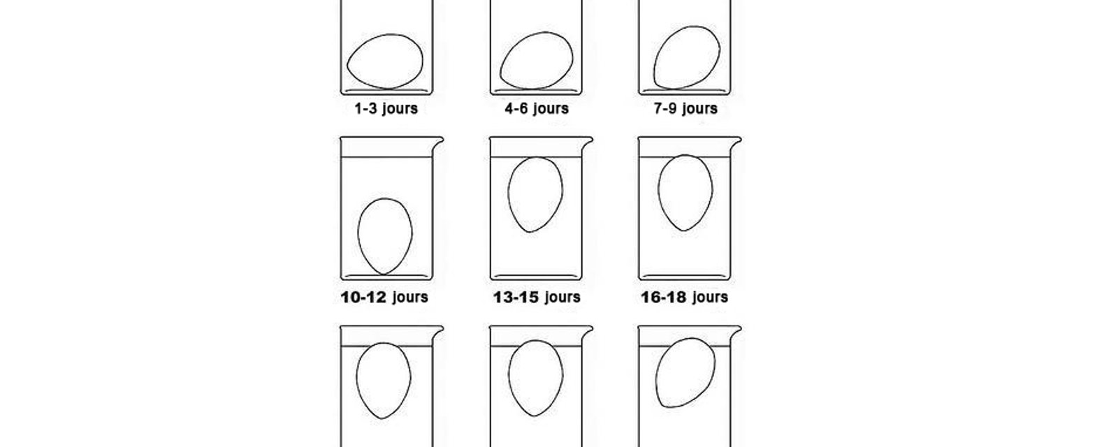 À quel moment les œufs sont-ils impropres à la consommation ?