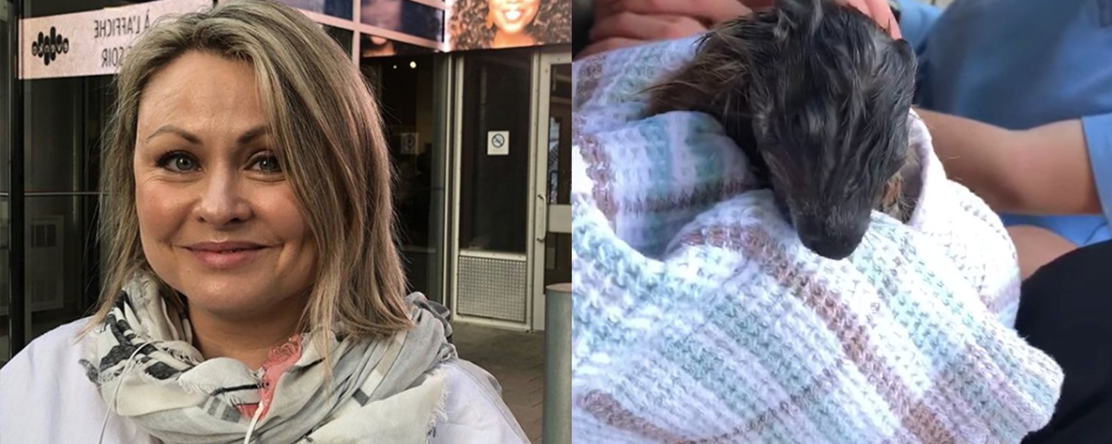 Mitsou Gélinas participe au sauvetage d'un bébé marmotte qui était tombé dans sa piscine
