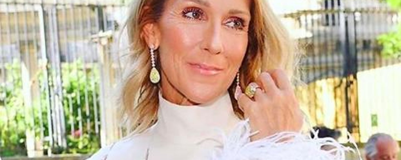 Céline Dion fait tourner toutes les têtes avec une robe en plumes, à Paris