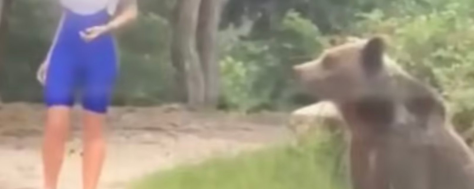 Une femme tente de prendre un selfie avec un ours et ça tourne au cauchemar.