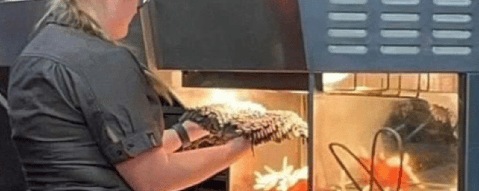 Une employée de McDonald's filmée alors qu'elle sèche une serpillère dans le réchaud à frites.