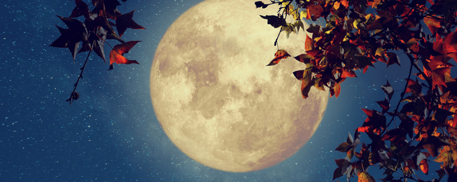 C'est soir de Pleine Lune en Gémeaux et voici pourquoi vous risquez de vous sentir nerveux!
