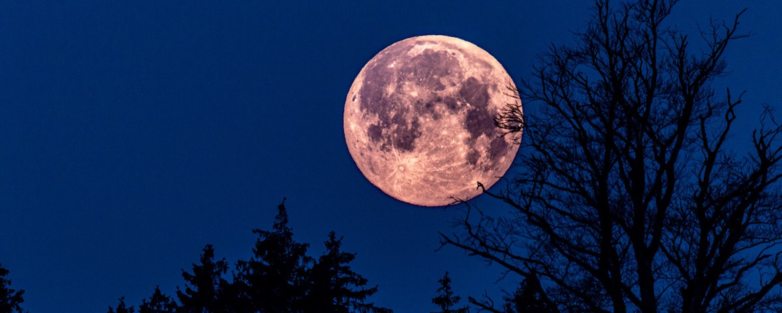 On aura droit à une « lune rose » cette semaine