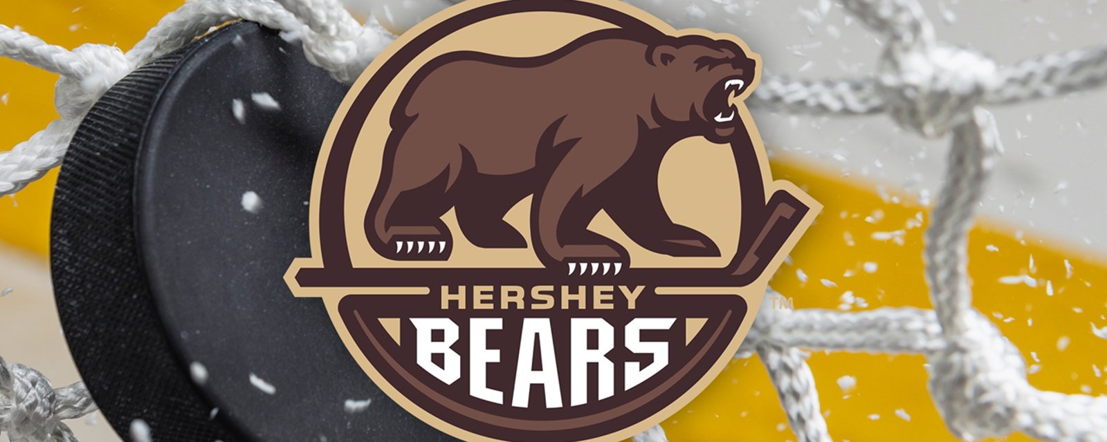 Les Bears de Hershey disputent un match avec un affreux chandail de Noël!