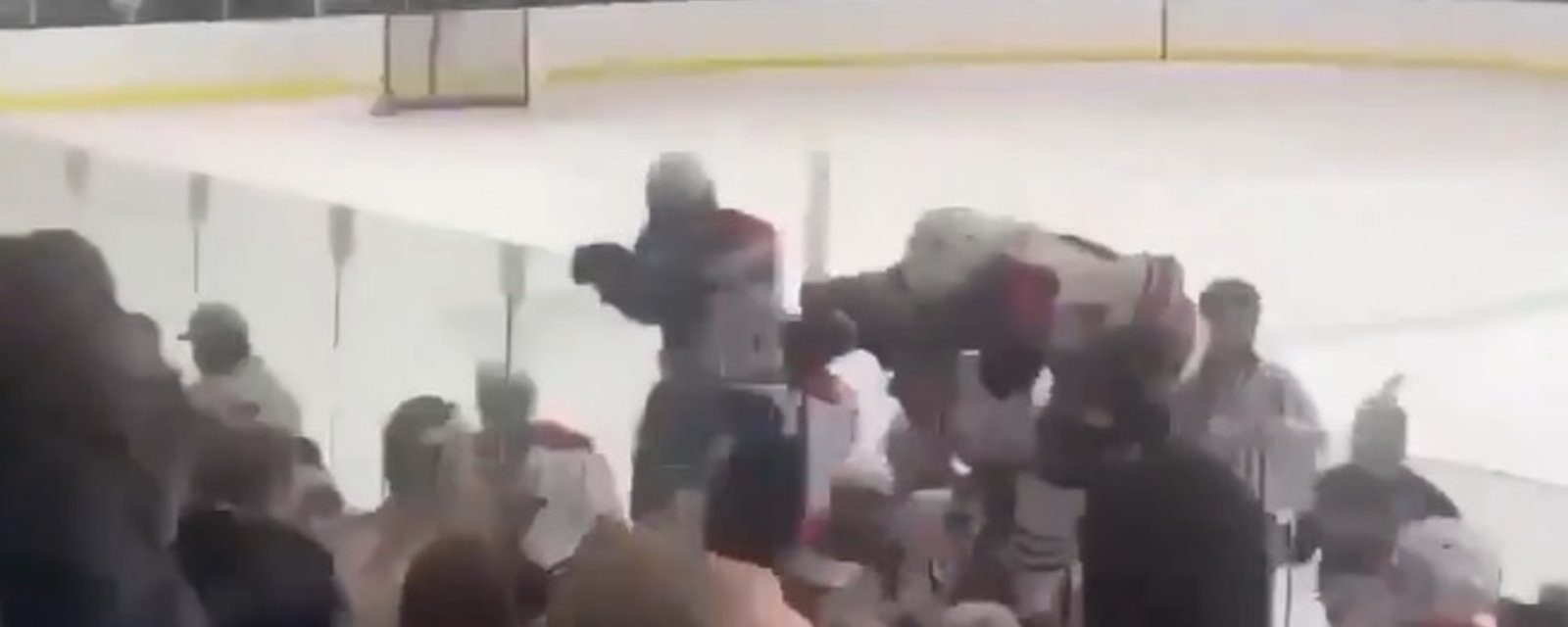 HOCKEY MINEUR: Une violente bagarre éclate dans les estrades et se transpose sur la glace