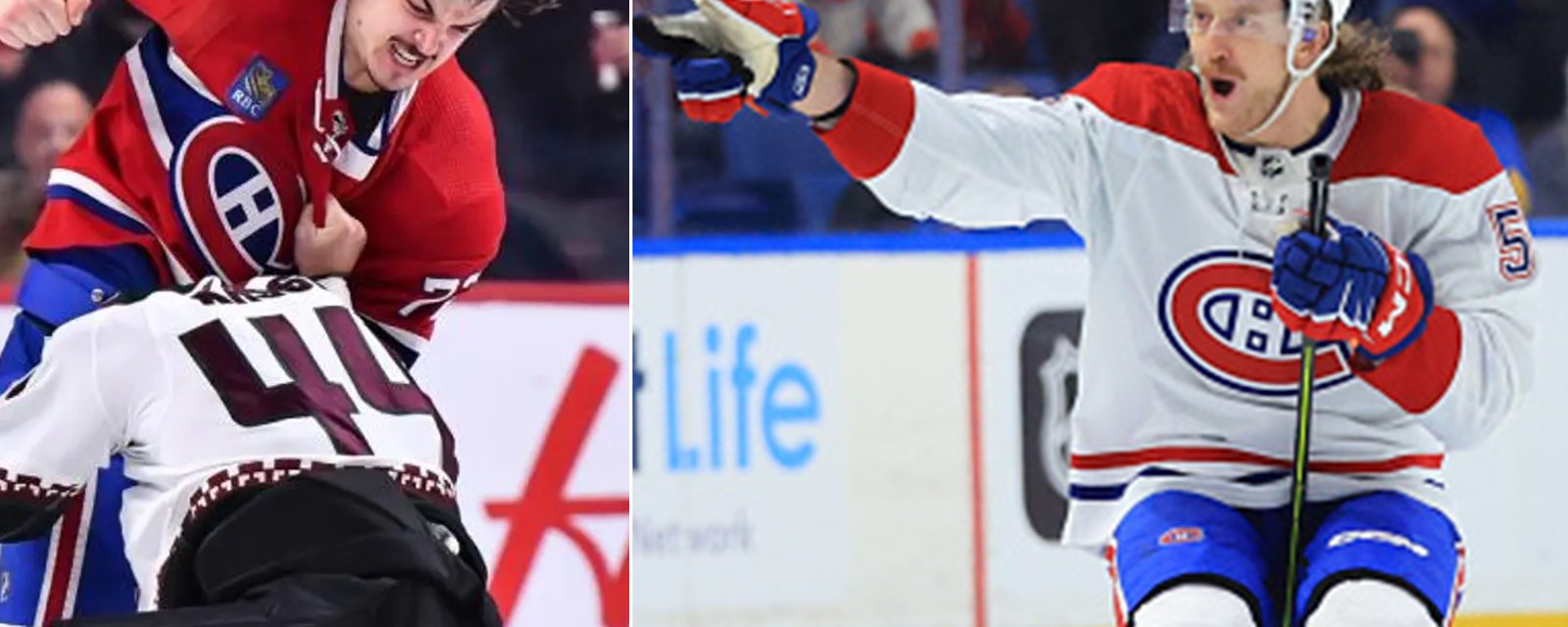 Michael Pezzetta et Arber Xhekaj font bonne figure chez les joueurs les plus durs de la LNH 