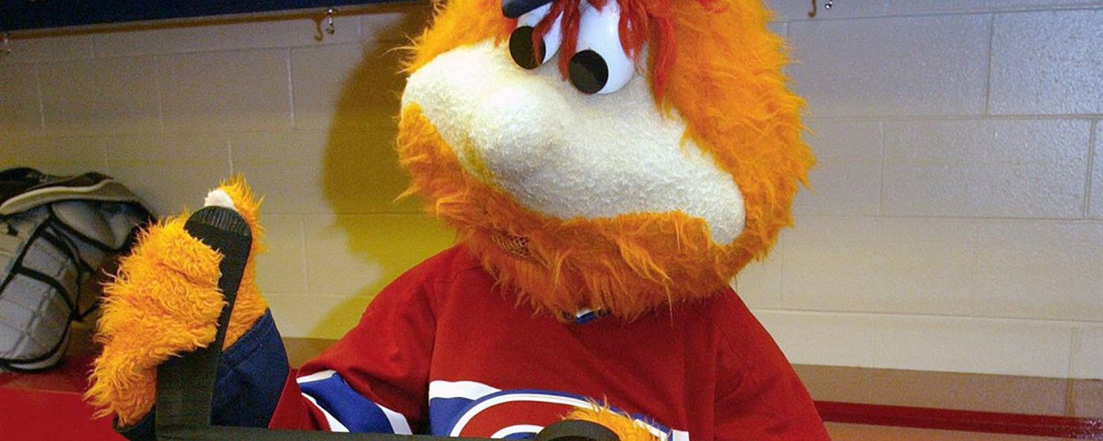 Un classement des meilleures et des pires mascottes de la LNH