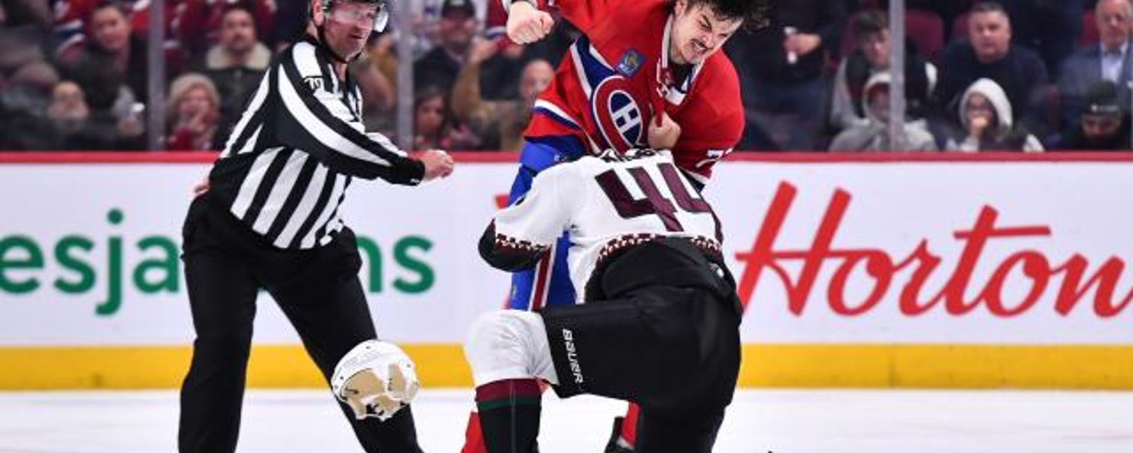 Paul Bissonette se prononce sur le statut d'Arber Xhekaj parmi les bagarreurs de la LNH