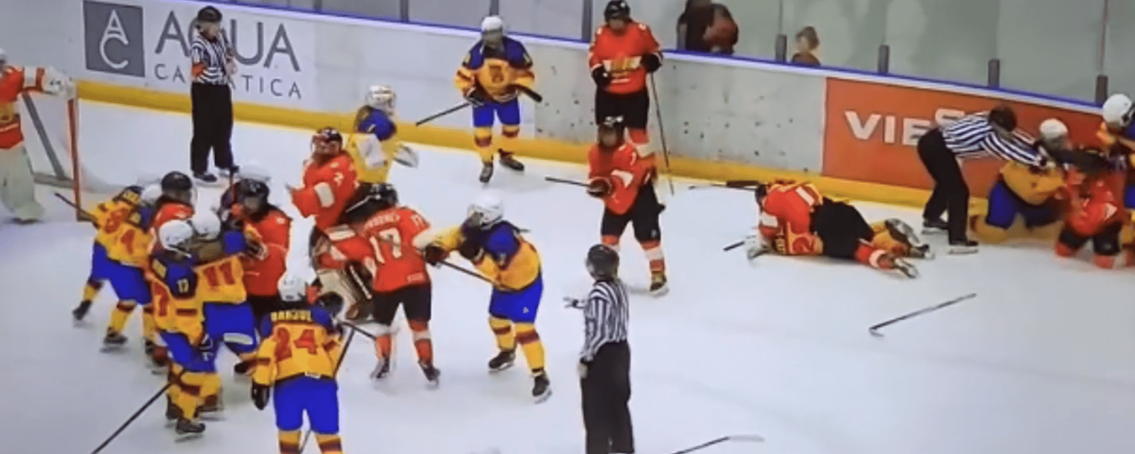 Une bagarre générale complètement folle dans un match de hockey féminim